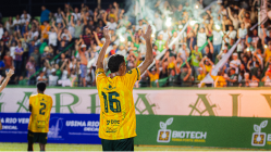 imagem_1